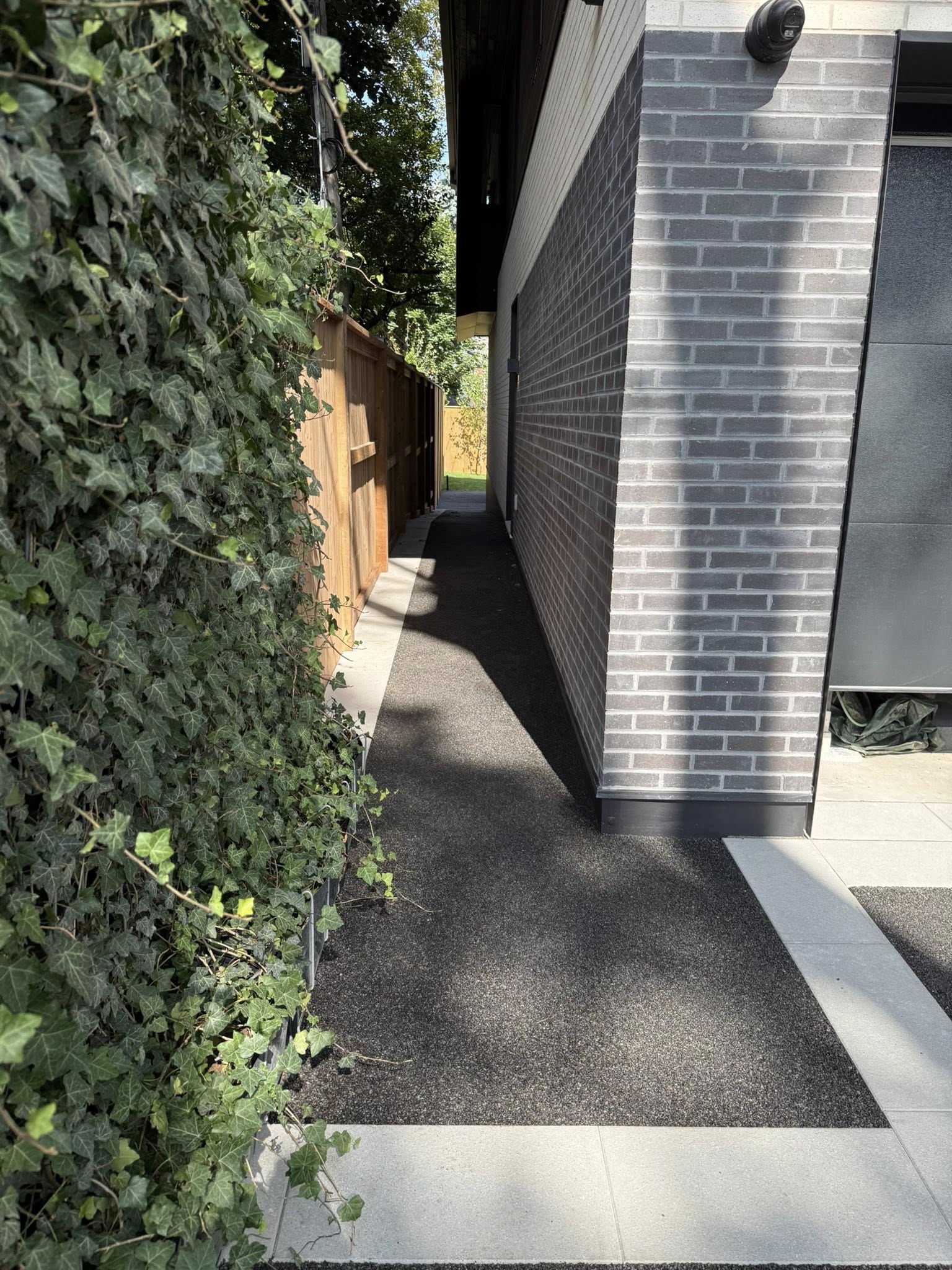 Narrow walkway between gray brick building and wooden fence covered with green ivy leaves.