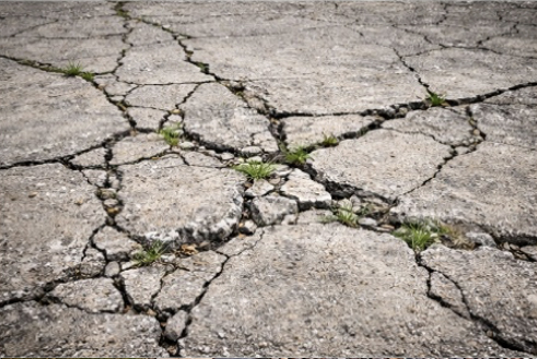 Close-up of cracked concrete pavement with small green plants growing in the gaps.