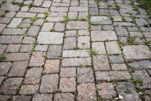 Stone pavement with varied sizes of rectangular and square bricks and grass growing between some joints.